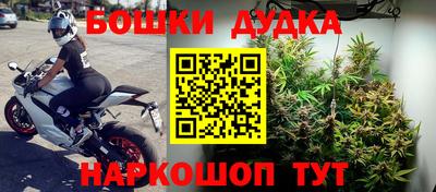 хмурый Новозыбков