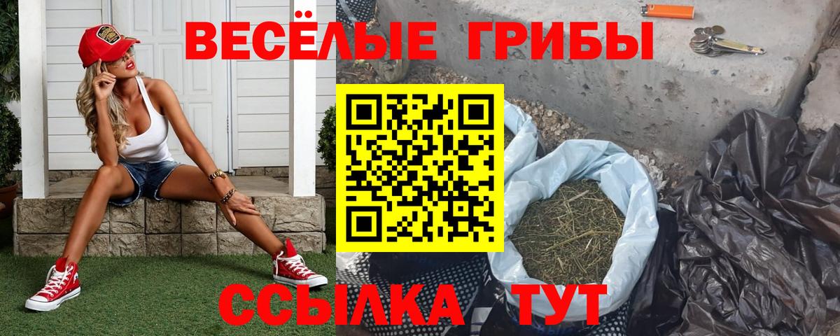 Галлюциногенные грибы прущие грибы Трёхгорный