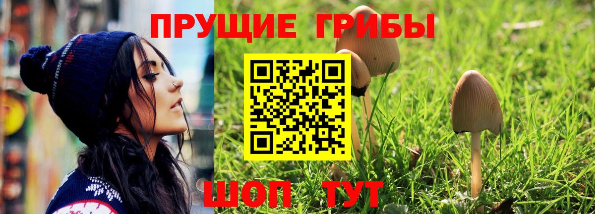 Трёхгорный  Псилоцибиновые грибы Magic Shrooms  Вход с VPN  Галлюциногенные грибы Magic Shrooms 
